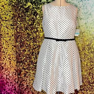 New With Tags - size 16 - Fit and Flare dress